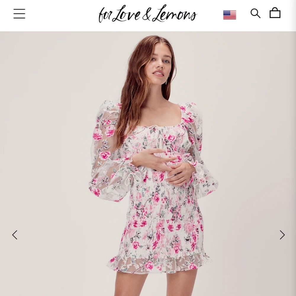 For love and lemons lovell burnout mini dress